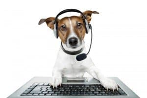 Dog video chat
