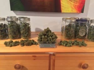 5 Advantages For MMJ Patients To Grow Cannabis custom